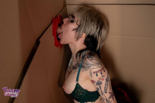 TeenyTaboo Holiday Holes Adalind Gray Creampie Teen Porn Video